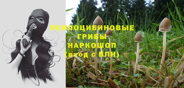 экстази Алзамай
