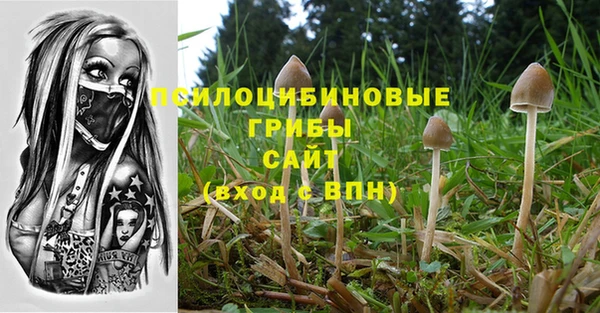 а пвп мука Алексеевка