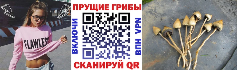 Галлюциногенные грибы мицелий  нарко площадка формула  Слободской 